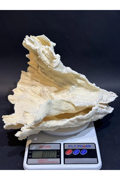 gemsartdeco MERCAN KOLEKSİYON DOĞALTAŞ ürün görseli