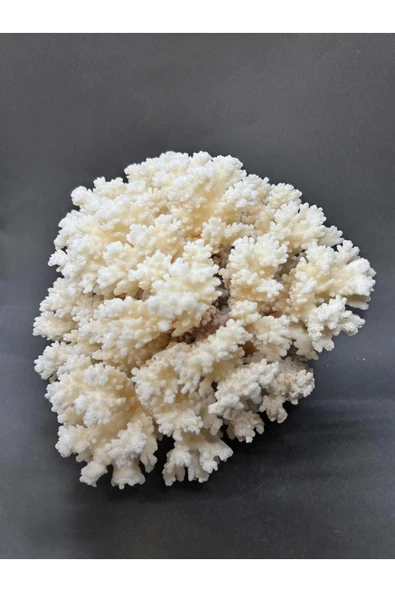 gemsartdeco MERCAN - Resim 5