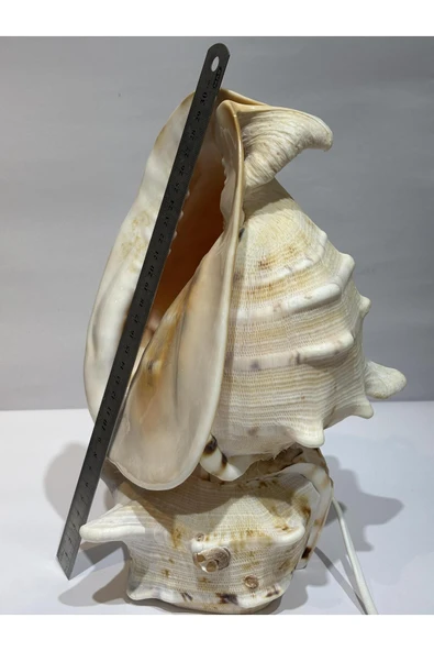 gemsartdeco CASIS DEV BOY LAMBA PRİZLİ - Resim 6