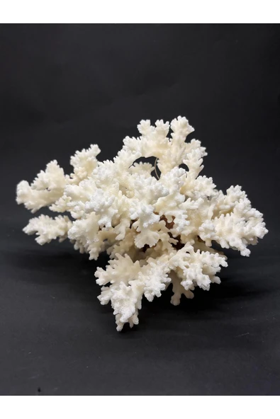 gemsartdeco Dal Mercan Harika Koleksiyon - Resim 3