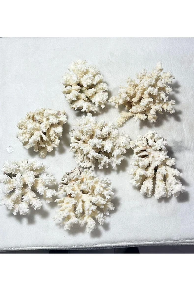 gemsartdeco Mercan Doğaltaş Boy 7 - Resim 2