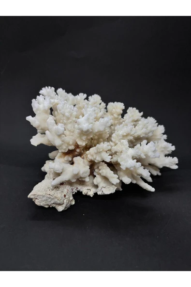 gemsartdeco MERCAN - Resim 4