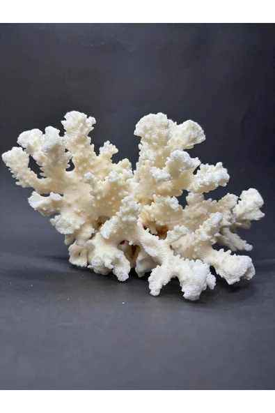 gemsartdeco MERCAN - Resim 2