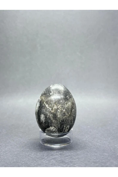 gemsartdeco BELEMNİT FOSİLLİ YUMURTA DOĞALTAŞ - Resim 2