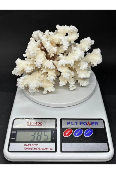 gemsartdeco MERCAN - Resim 5