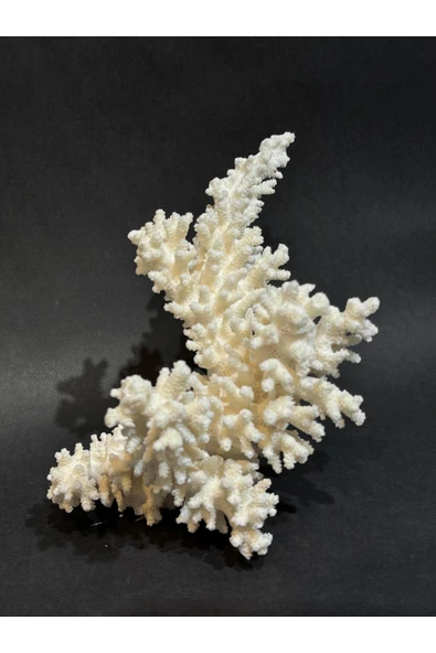 gemsartdeco DAL MERCAN - Resim 4