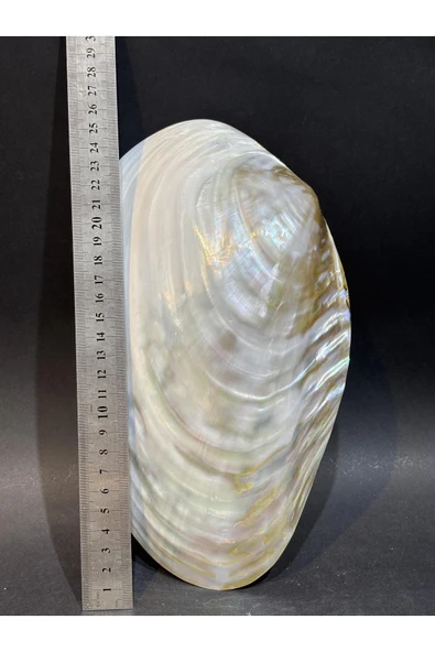 gemsartdeco KABUK XXL - Resim 5