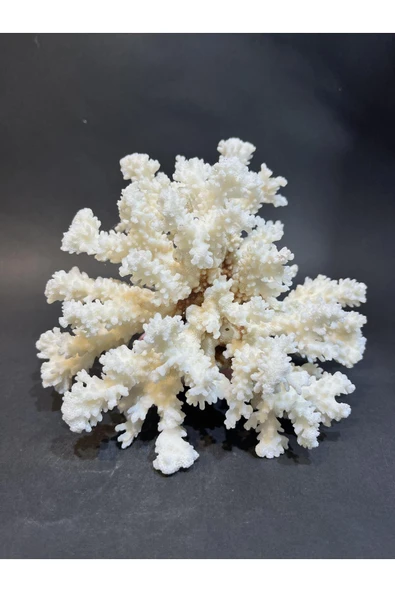 gemsartdeco MERCAN - Resim 3