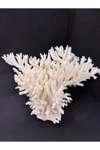 gemsartdeco İNCE DAL MERCAN CORAL CLUSTER - Resim 6