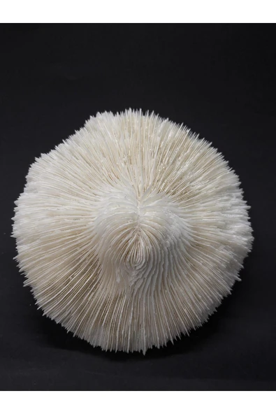 gemsartdeco MANTAR MERCAN - Resim 3