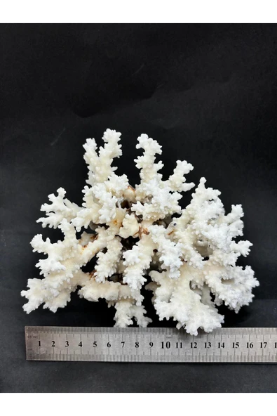 gemsartdeco MERCAN - Resim 4