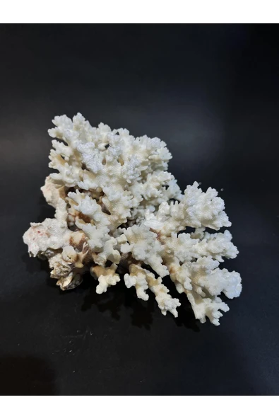 gemsartdeco MERCAN - Resim 5