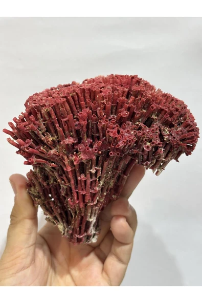 gemsartdeco KIRMIZI MERCAN DOĞALTAŞ - Resim 4