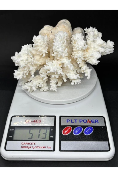 gemsartdeco MERCAN - Resim 6