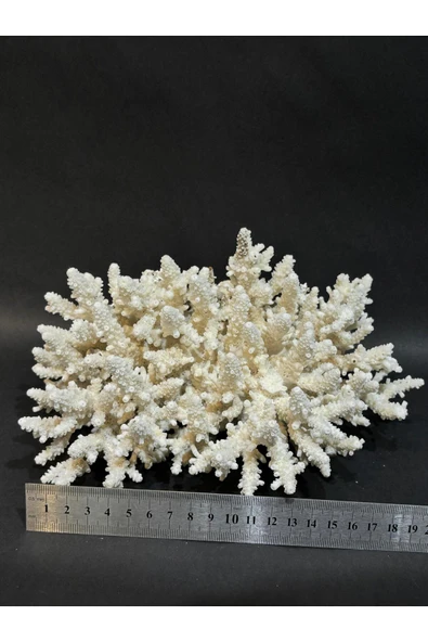 gemsartdeco DAL MERCAN - Resim 4