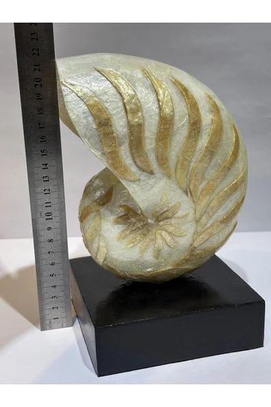 gemsartdeco NATİLUS KOLEKSİYON KABUK STANTLI - Resim 5