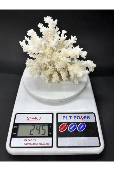 gemsartdeco MERCAN - Resim 6