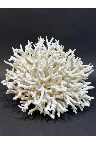 gemsartdeco İNCE DAL MERCAN - Resim 5