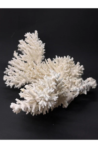 gemsartdeco DAL MERCAN - Resim 2