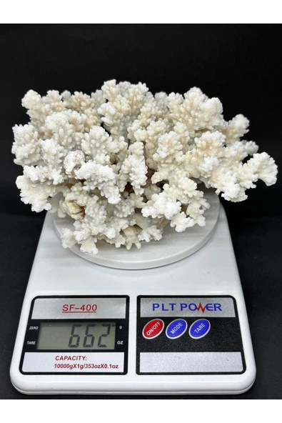 gemsartdeco MERCAN - Resim 5