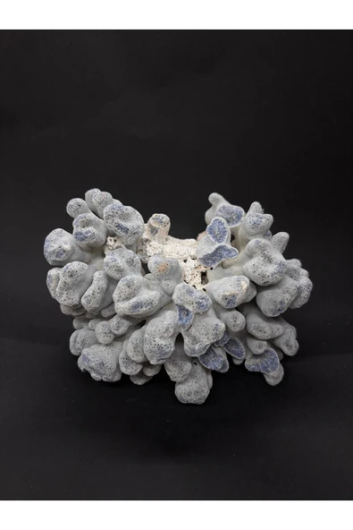 gemsartdeco MAVİ MERCAN ürün görseli