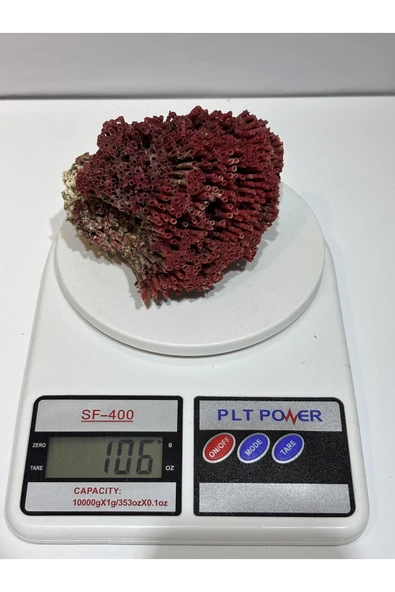 gemsartdeco KIRMIZI MERCAN DOĞALTAŞ - Resim 5