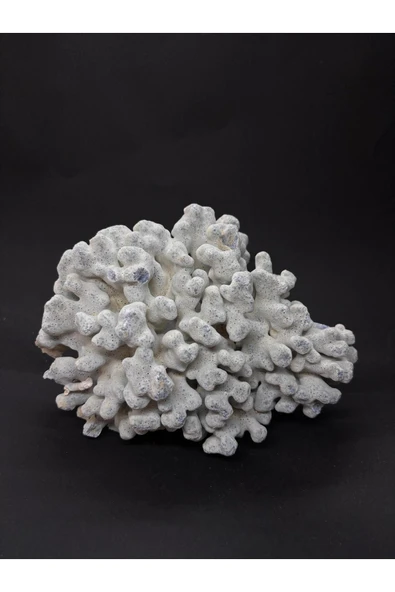 gemsartdeco MAVİ MERCAN - Resim 8