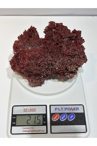 gemsartdeco KIRMIZI MERCAN DOĞALTAŞ - Resim 5