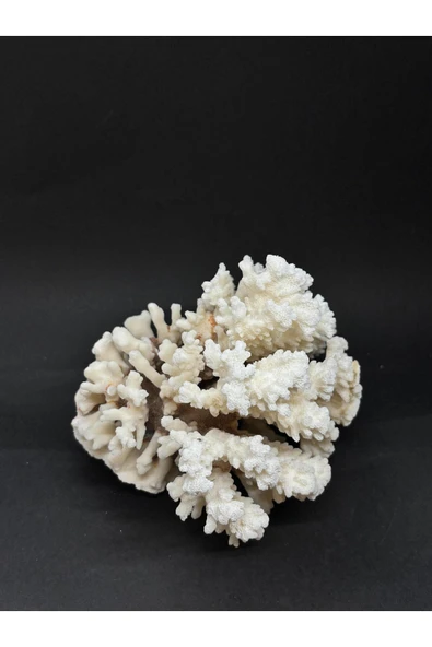 gemsartdeco MERCAN - Resim 4