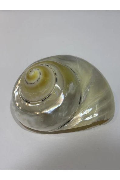 gemsartdeco TURBO BURGES SEDEFLİ - Resim 3