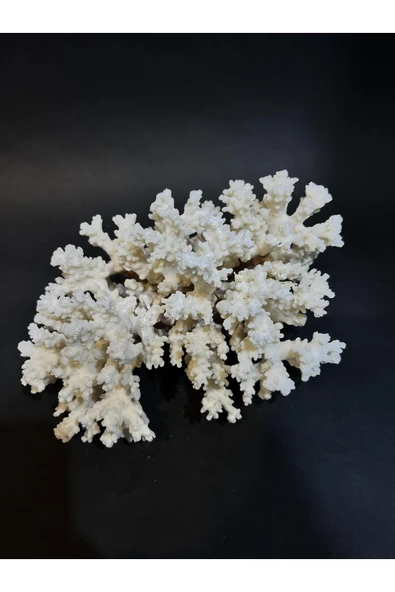 gemsartdeco MERCAN - Resim 3