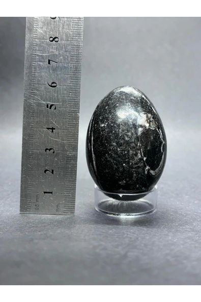 gemsartdeco BELEMNİT FOSİLLİ YUMURTA DOĞALTAŞ - Resim 5
