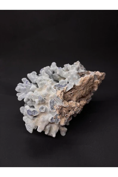 gemsartdeco MAVİ MERCAN - Resim 5