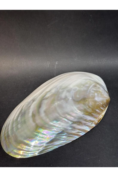 gemsartdeco KABUK XXL - Resim 4