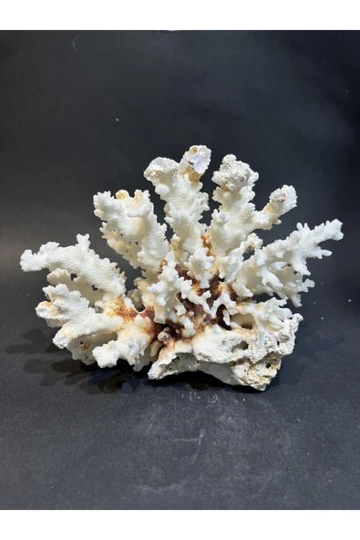 gemsartdeco MERCAN - Resim 2