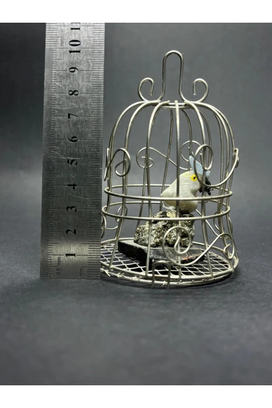 gemsartdeco ÖZEL KAFESLİ ZENGİNLİK DOĞALTAŞ OBJESİ - Resim 5