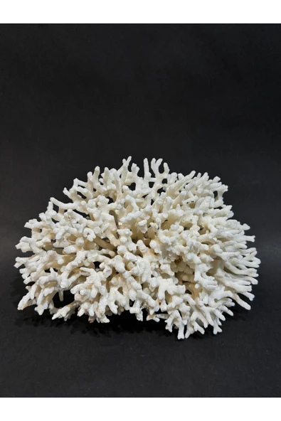 gemsartdeco İNCE DAL MERCAN ürün görseli