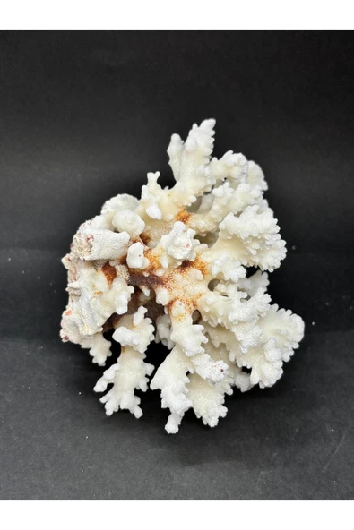 gemsartdeco MERCAN - Resim 2