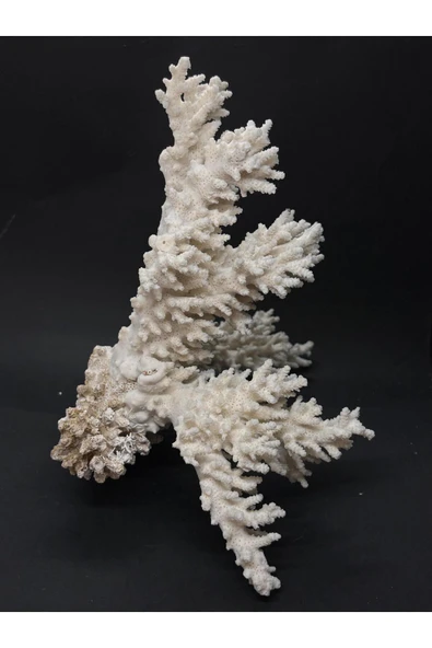 gemsartdeco DAL MERCAN - Resim 3