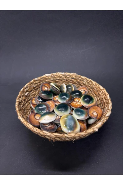 gemsartdeco FİLİPİNLER YEŞİL YILANCIK-3 ADET ürün görseli