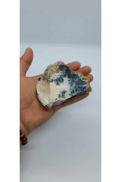 gemsartdeco Dentritli opal koleksiyonluk doğaltaş - Resim 3