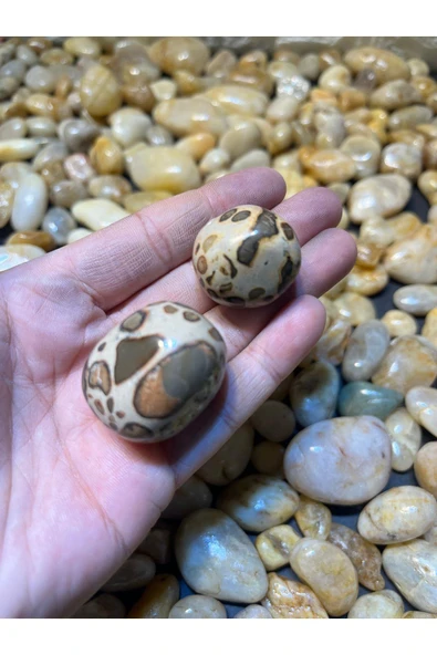 gemsartdeco Septeryan Doğaltaş AA kalite Tambur ürün görseli 1