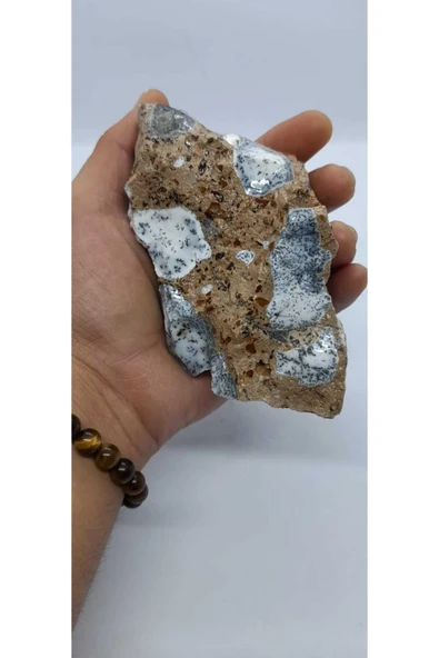 gemsartdeco Dentritli opal koleksiyonluk doğaltaş - Resim 3