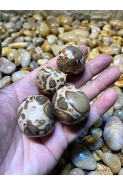 gemsartdeco Septeryan Doğaltaş AA kalite Tambur - Resim 4