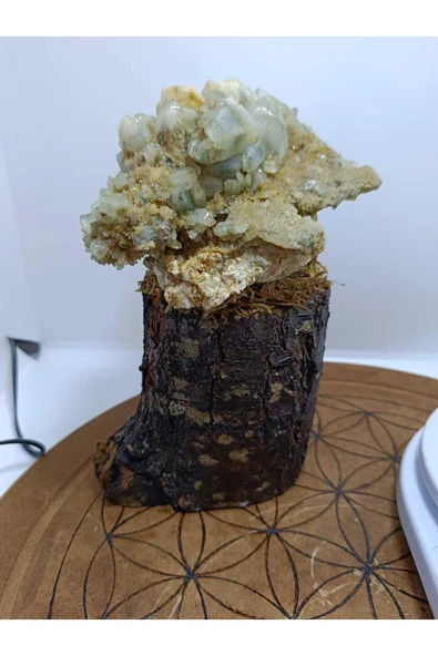 gemsartdeco Özel Tasarım Ağaç Görünümlü Kaideli Küme Kuvars - Resim 3