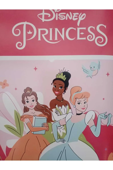 TAÇ DİSNEY PRİNCESS FUN TOGETHER TEK KİŞİLİK BATTANİYE - Resim 2