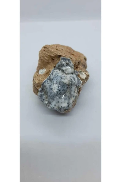 gemsartdeco Dentritli opal koleksiyonluk doğaltaş ürün görseli