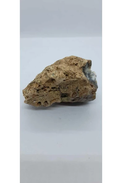 gemsartdeco Dentritli opal koleksiyonluk doğaltaş - Resim 3