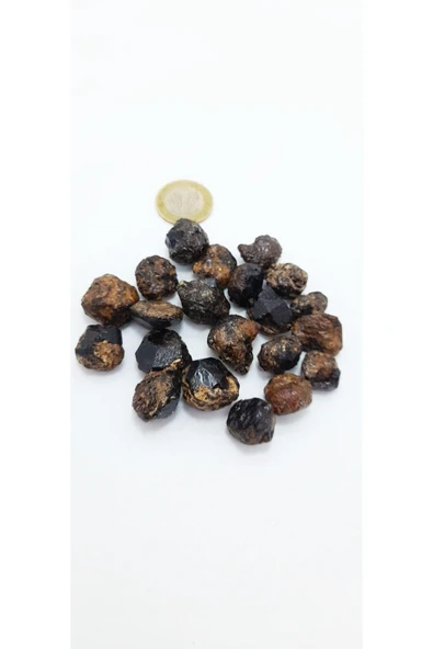 gemsartdeco Garnet Doğaltaş Hafıza Güçlendirici 2 Adet ürün görseli