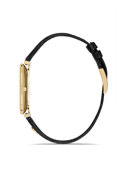 HISLON CL179G-02KG Erkek Kol Saati - Resim 2